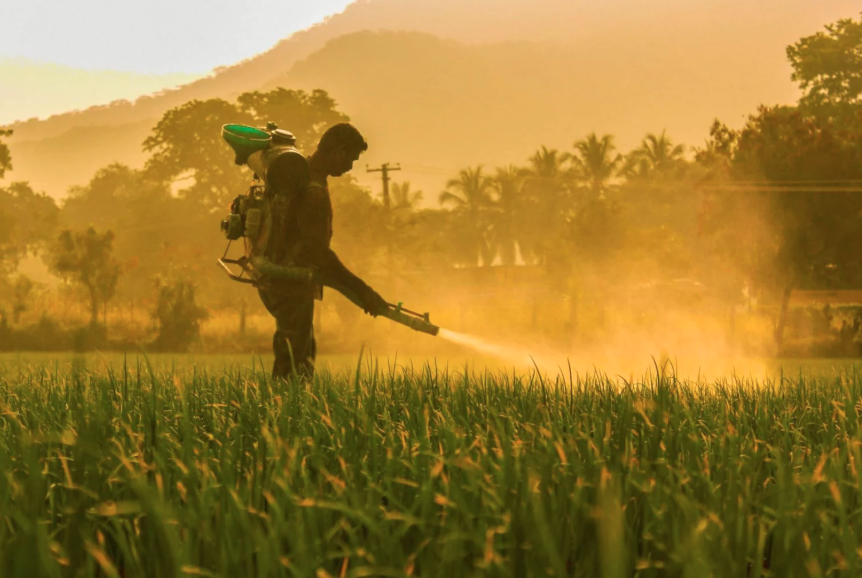 Nông dân Nhật Bản tạo phát minh không tưởng, "dậy sóng" nền nông nghiệp: Bí mật nằm trong tấm lưới màu đỏ - Ảnh 3.