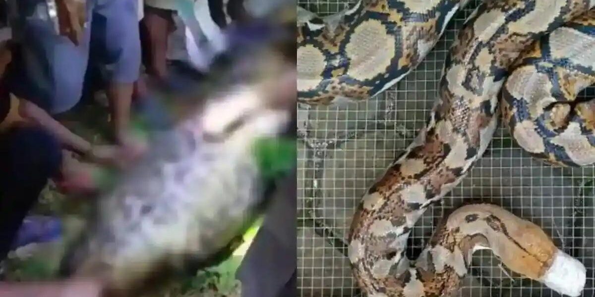 Bi Kịch Đáng Sợ Tại Indonesia: Người Đàn Ông Mất Tích Và Cái Chết Khó Tin