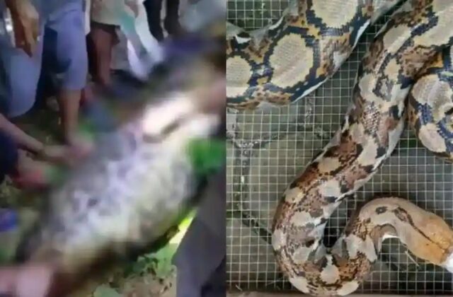 Bi Kịch Đáng Sợ Tại Indonesia: Người Đàn Ông Mất Tích Và Cái Chết Khó Tin