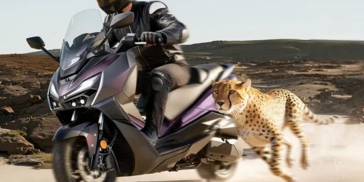 SYM JEPARDO 300: Mẫu Xe Tay Ga Đầy Công Nghệ Với Giá Hấp Dẫn